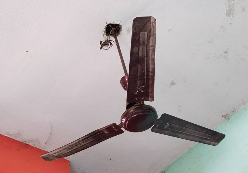 Ceiling Fan Service in Denver, CO